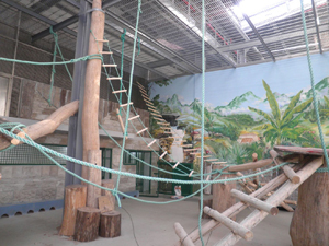 В Калининградском зоопарке строят зимний сад